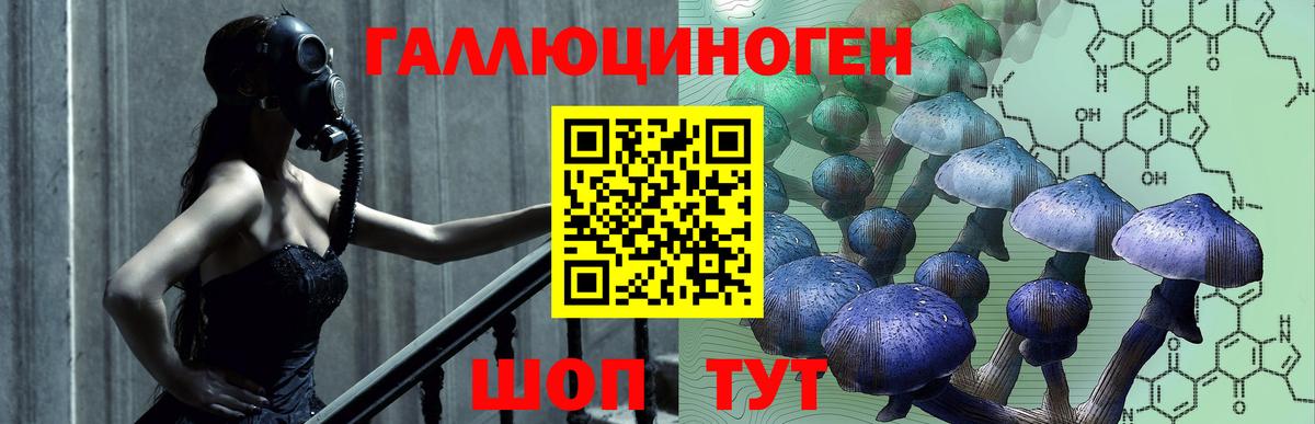 Галлюциногенные грибы Psilocybine cubensis  Псилоцибиновые грибы Cubensis  Холмск  Вход с VPN 